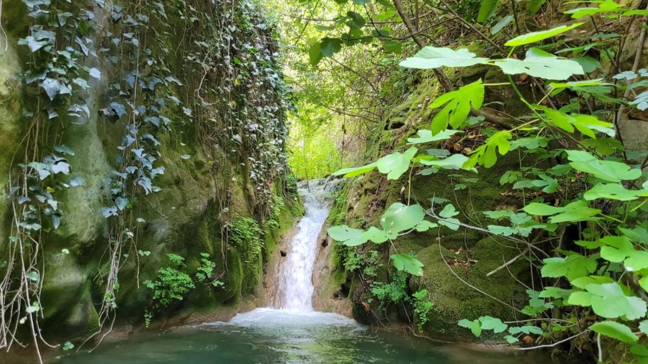 La Llar D'Aitana ξενώνας Alcoleja Εξωτερικό φωτογραφία